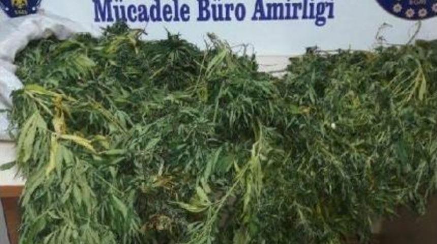 Ödemiş'te Uyuşturucu Operasyonu: 1 Tutuklama