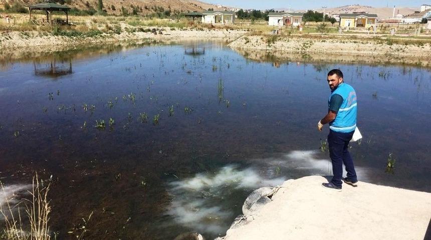 Larvalarla M&uuml;cadele Devam Ediyor
