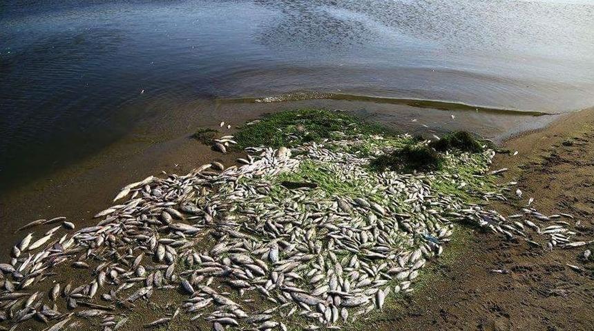 Susurluk &Ccedil;ayına Bırakılan Madde Vatandaşları İsyan Ettirdi