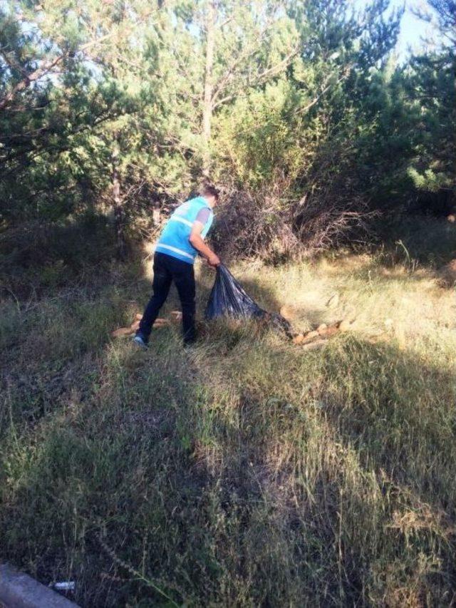 Bayburt Belediyesi Ekipleri Yaban Hayatını Unutmadı 1