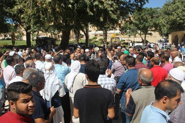 Şanlıurfa’da Arakanda Yaşanan Zulüm Protesto Edildi