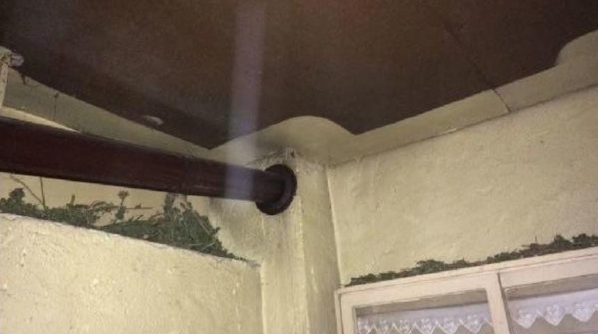 Uyuşturucuyu Soba Boruları Döşediği Evde Kurutup, Satıyordu