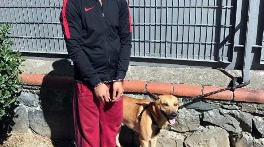 Köpeği Gezdiriyor Gibi Yapıp Sokak Sokak Uyuşturucu Satmış