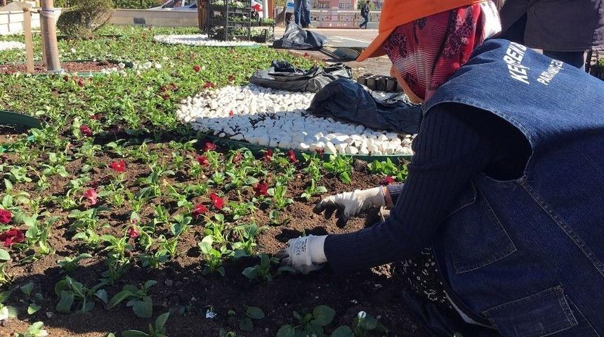 Menekşeler Ke&ccedil;i&ouml;ren&rsquo;i Renklendirdi