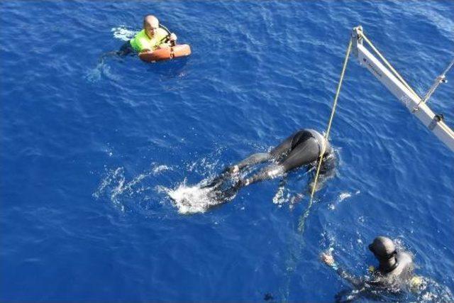 Derya Can dan Yeni T&uuml;rkiye Rekoru 3