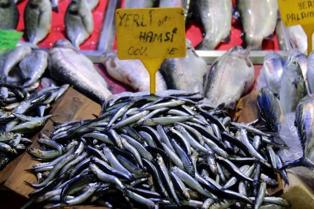 Sezonun İlk Hamsisi 15 Liradan Satılıyor