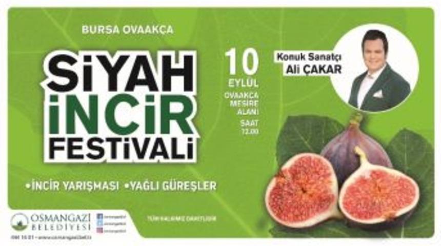 Osmangazi&rsquo;de Siyah İncir Festivali