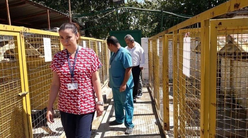 Muğla&rsquo;daki Ge&ccedil;ici Hayvan Barınağında İnceleme Yapıldı