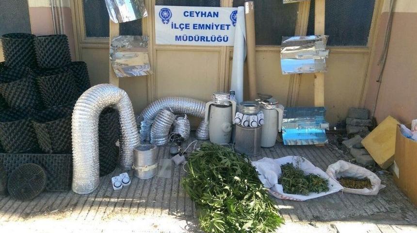 &Ouml;zel Havalandırma Sistemi Kurup Hint Keneviri Yetiştirmişler