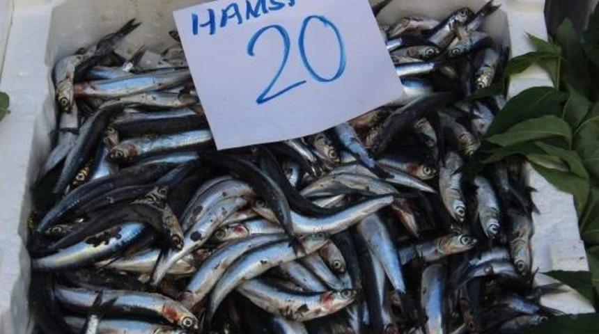 Hamsi 20 Liraya Y&uuml;kseldi