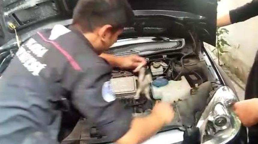 Aracın Motoruna Sıkışan Yavru Kediler Kurtarıldı