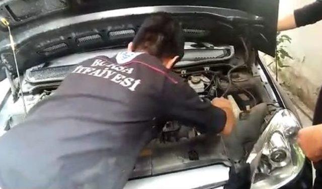 Aracın Motoruna Sıkışan Yavru Kediler Kurtarıldı