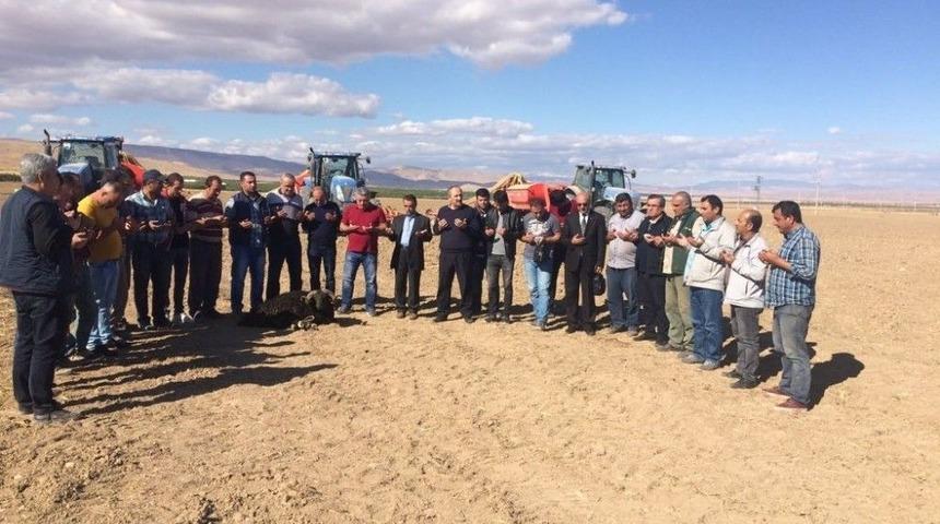 Sultansuyu Tarım İşletmesinde G&uuml;zl&uuml;k Ekim Başladı