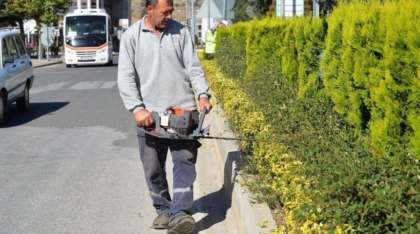 Park Ve Yeşil Alanlarda Sonbahar Hazırlıkları Başladı