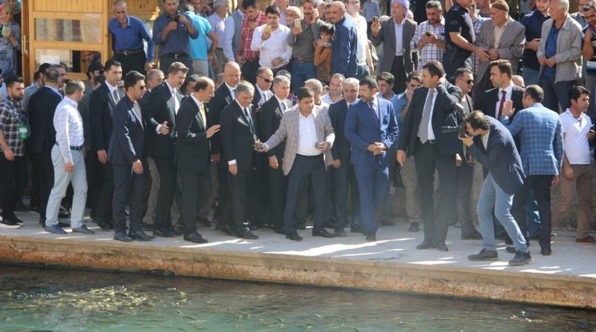 Abdullah G&uuml;l Balıklıg&ouml;l&rsquo;de Balıklara Yem Attı