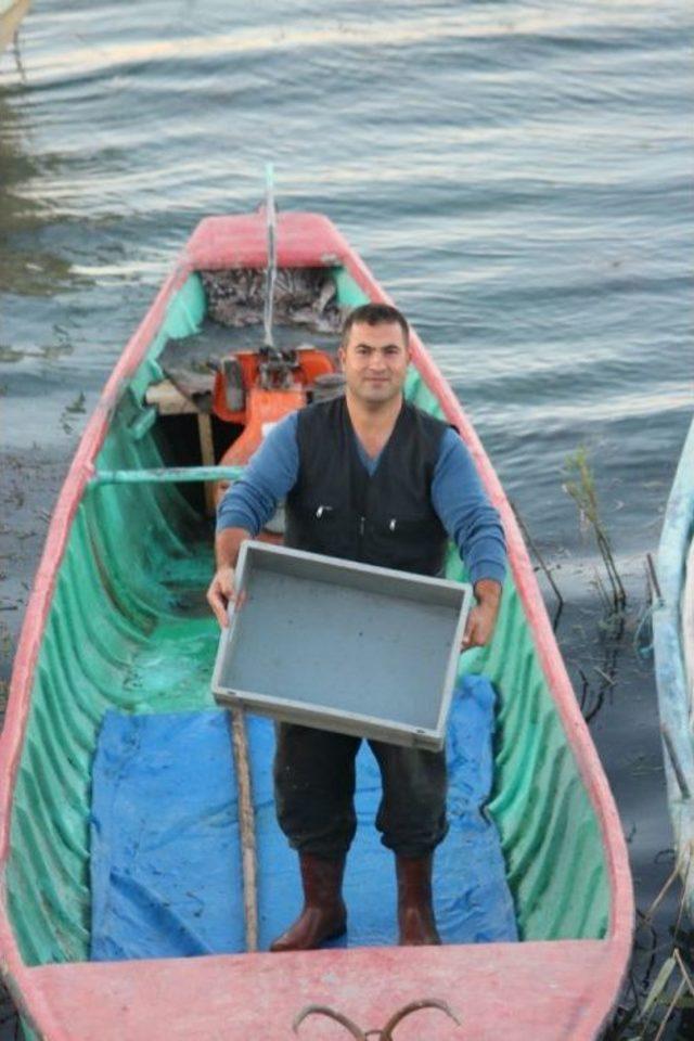 Beyşehir’de, Balıkçılar Bilinçsiz Avlanmadan Dertli