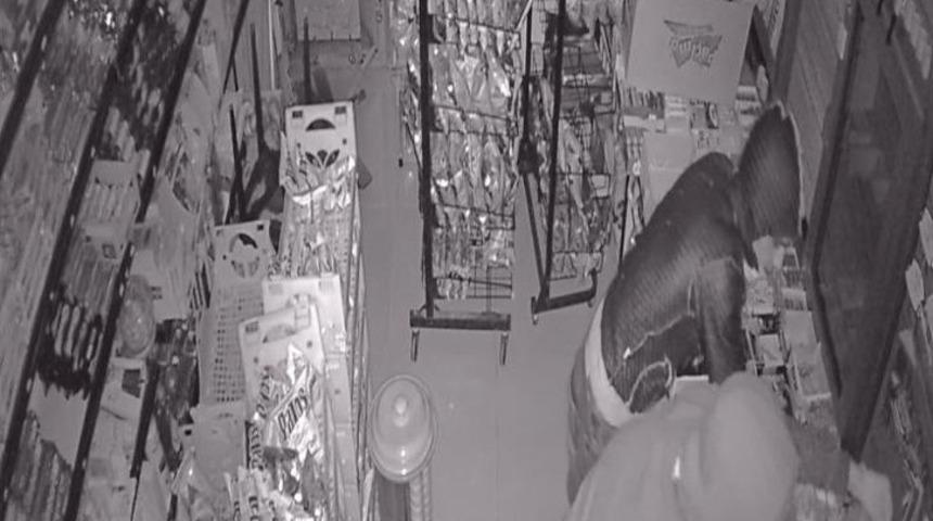 B&uuml;fe Fareleri Yakalandı