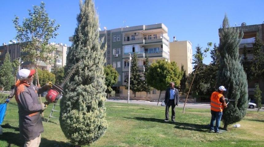 Şanlıurfa Bilim Şenliğine Hazırlanıyor