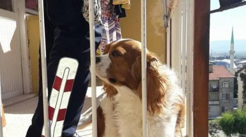 Yaramaz K&ouml;peğin İmdadına İtfaiye Yetişti