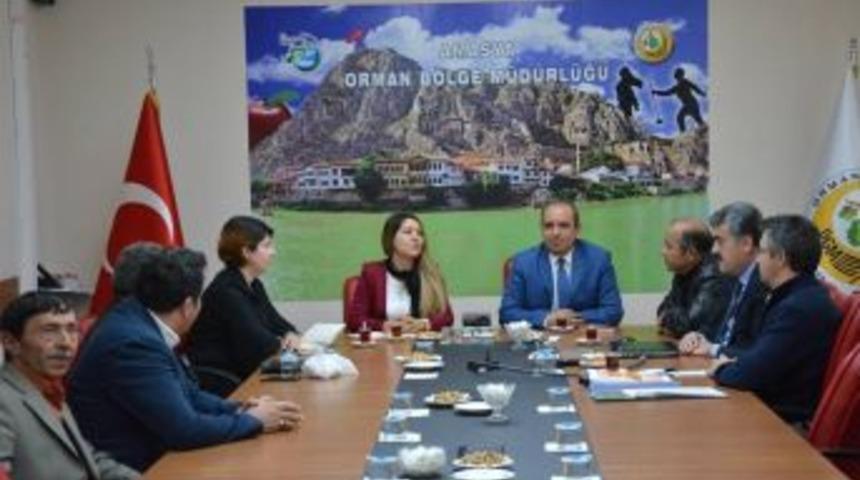 Amasya Obm İle Yhkb&rsquo;den &lsquo;salep Orkide&rsquo; İ&ccedil;in Proje