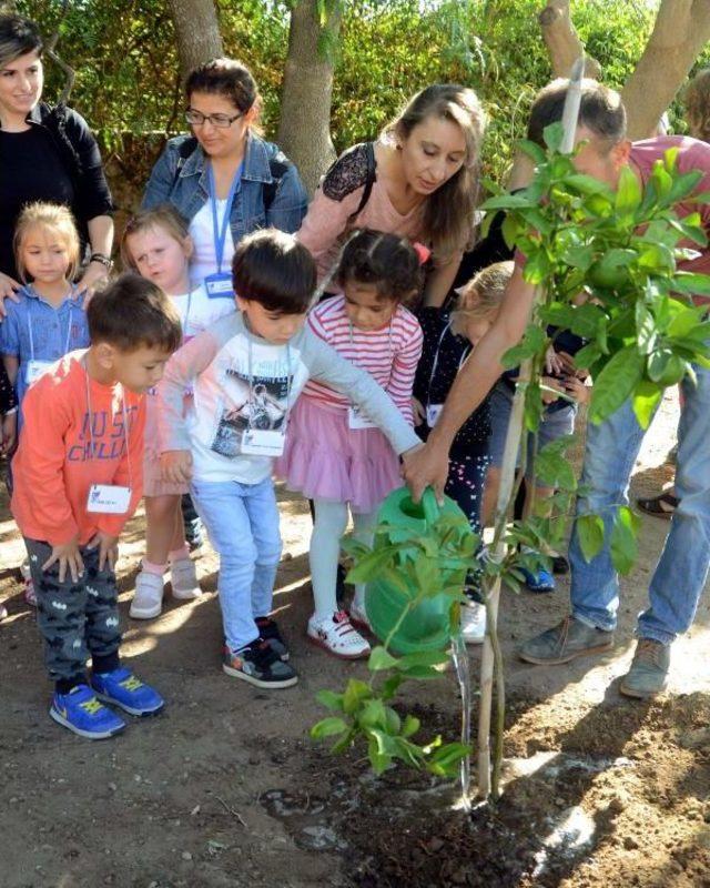 Halikarnas Balıkçı Ölümünün 44'üncü Yıl Dönümünde Anıldı