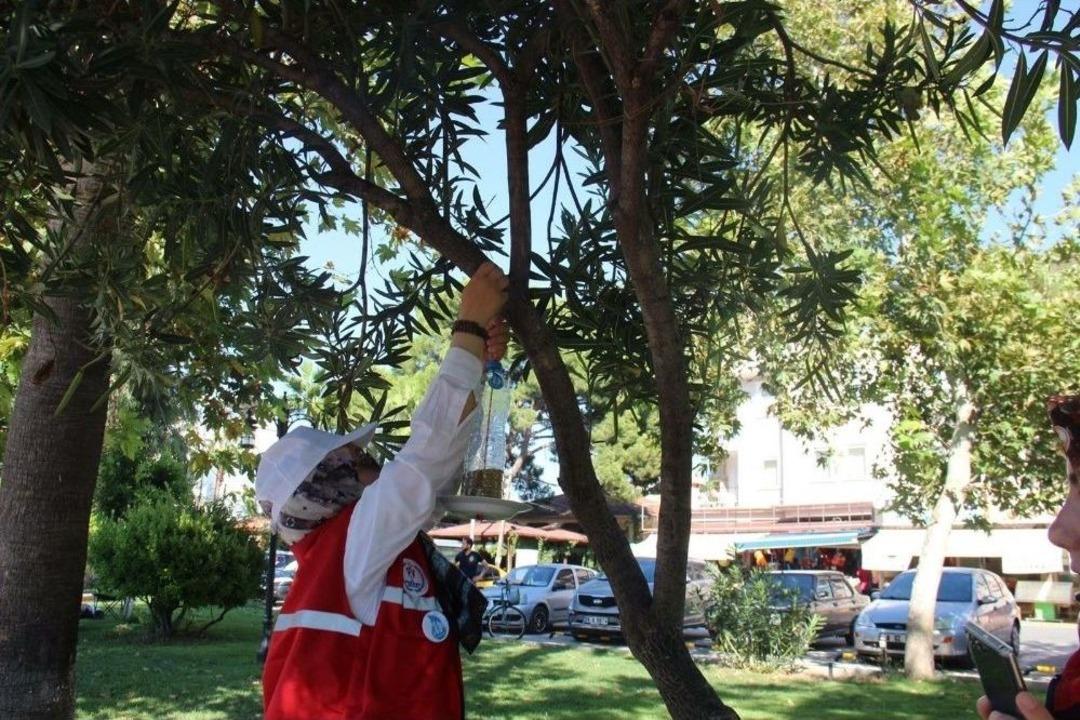 &Ouml;ğrenciler Kuşlar İ&ccedil;in Ağa&ccedil;lara Yemlik Astı