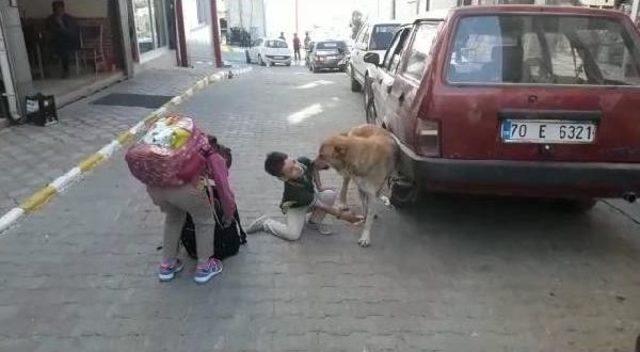 Yaralı Köpeğe Şefkat Gösteren Minik Mehmet, Altınla Ödüllendirildi