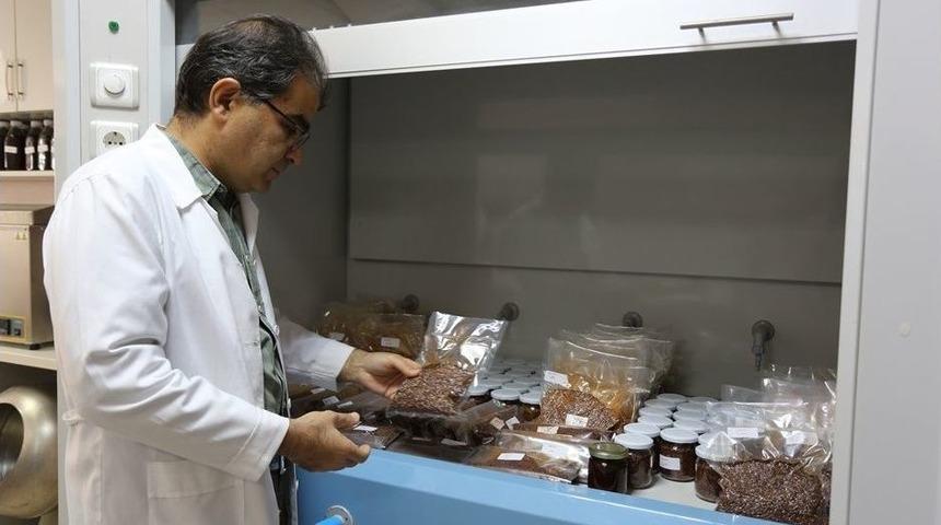 Kara İsotta Kanserojen Madde Tespit Edildi