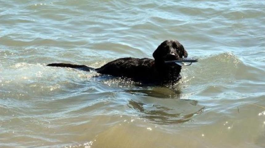 Marmaris'te Sahiller Sonbaharda Da Cıvıl Cıvıl