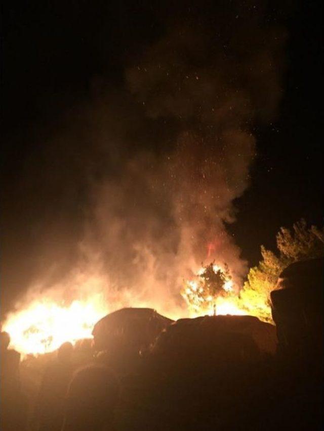 Tekirdağ&rsquo;da 2 Bin Balya Saman K&uuml;l Oldu 1