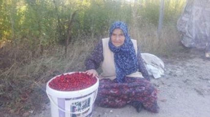 94 Yaşındaki Zeliha G&ouml;nenli: Sağlıklı Ve Uzun Yaşamanın En B&uuml;y&uuml;k Sırrı Doğal Beslenmek