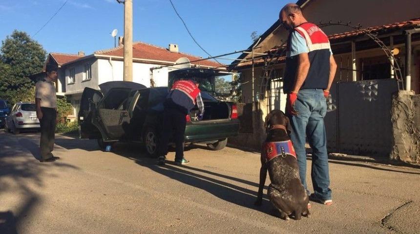 Jandarmadan K&ouml;pekli Uyuşturucu Operasyonu