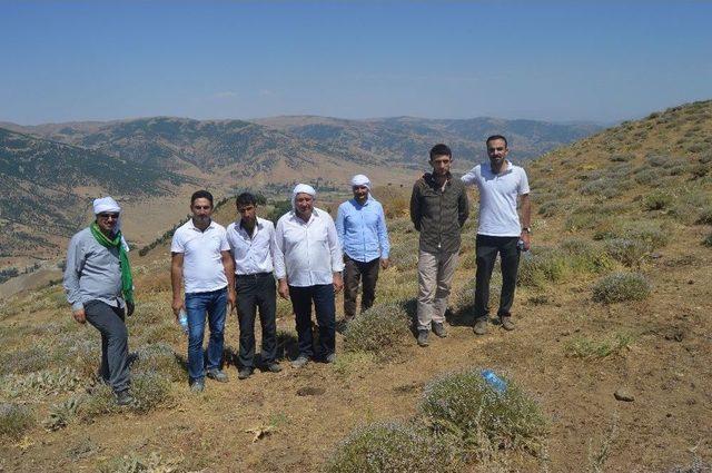 Sason-muş Yolu İçin Kilometrelerce Yürüdüler