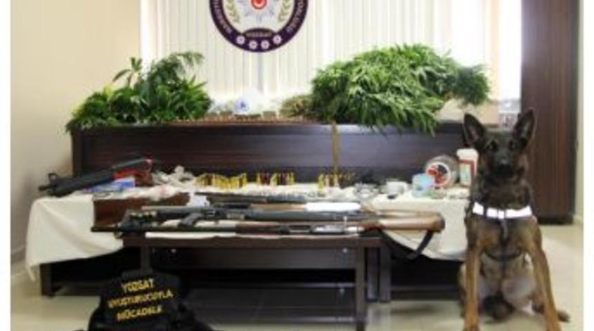 Hintkeneviri Yetiştirdiği Bah&ccedil;eye G&uuml;venlik Sistemi Kurmuş