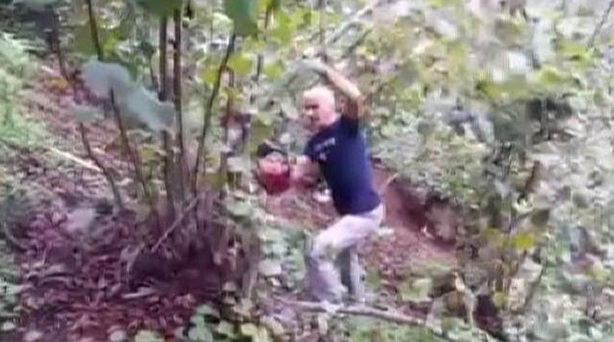 Fındık Fiyatlarını Protesto İ&ccedil;in Fındık Ağa&ccedil;larını Kesti