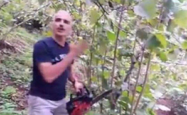 Fındık Fiyatlarını Protesto İ&ccedil;in Fındık Ağa&ccedil;larını Kesti 1