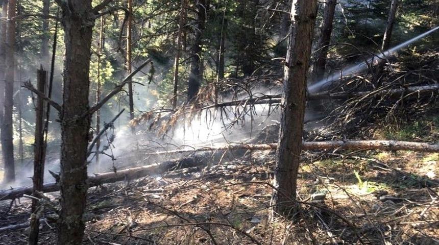 Tosya Ekincik K&ouml;y&uuml; Ormanlık Alanda Yangın