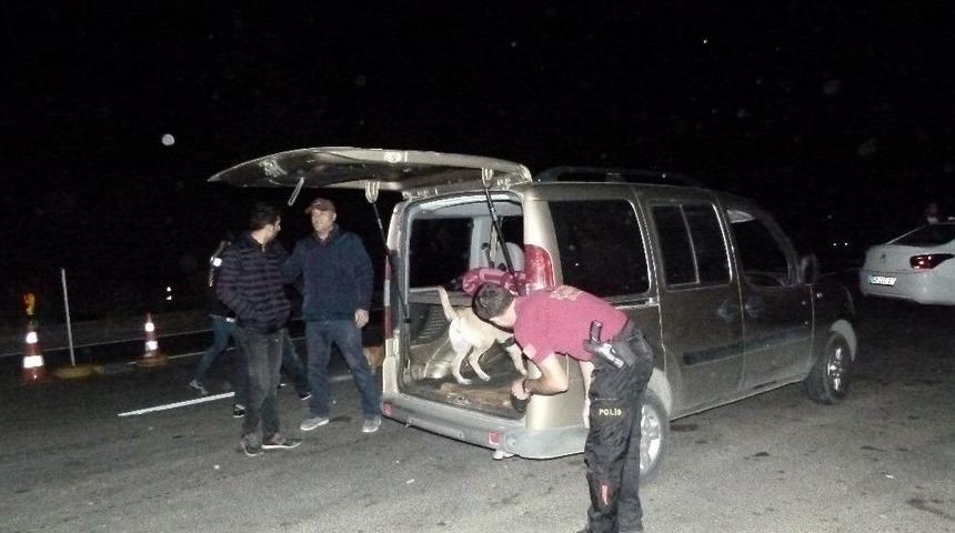 Bodrum&rsquo;da Huzur Operasyonu