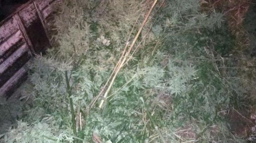 Bağ Evi Cinayetinin Sanığıydı, Uyuşturucudan Tutuklandı