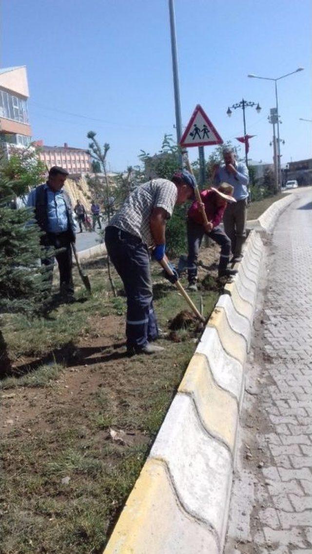 Çaldıran’da Işıklandırma Çalışması 2