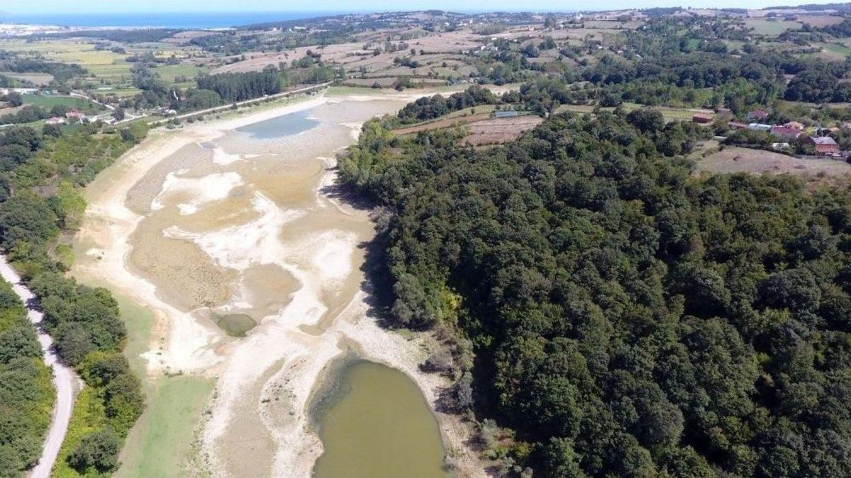 Sinop&rsquo;ta Balık &Ouml;l&uuml;mleri Devam Ediyor