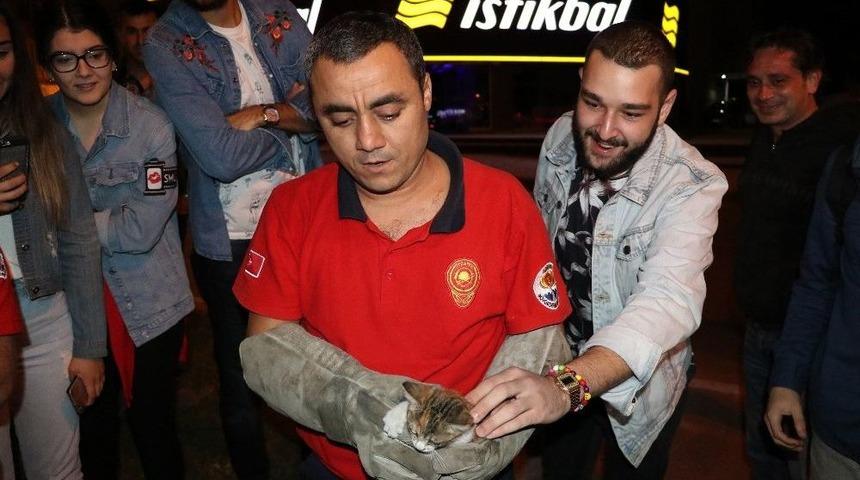 Yavru Kedinin İmdadına İtfaiye Erleri Yetişti