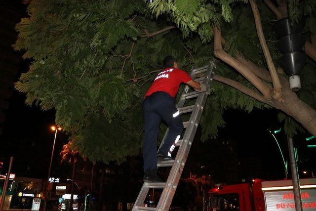 Yavru Kedinin İmdadına İtfaiye Erleri Yetişti