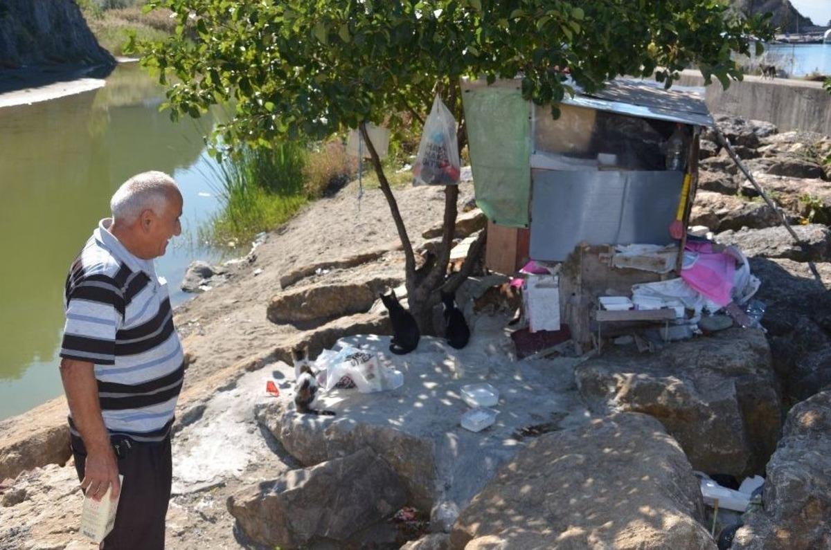 (&ouml;zel Haber) 19 Yıldır Emekli Maaşını Kediler İ&ccedil;in Harcıyor