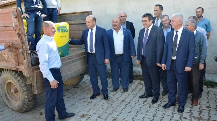 Biga&rsquo;da, İtalyan &Ccedil;imi Tohumu Dağıtıldı