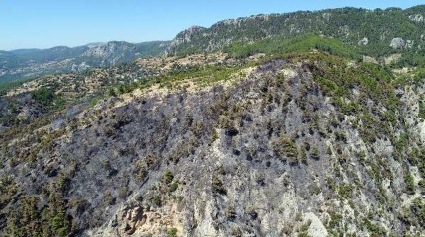 Zeytink&ouml;y'&uuml;n Yaraları Sarılıyor