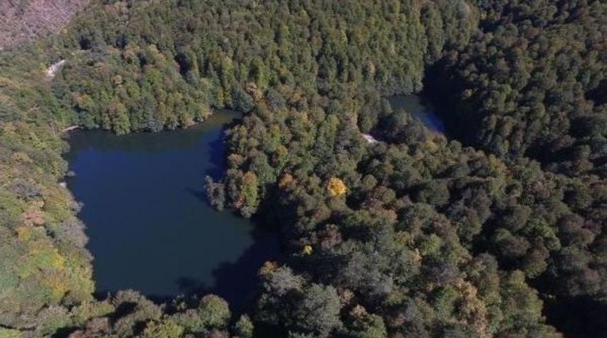 Yedig&ouml;ller Sonbaharın Renklerine B&uuml;r&uuml;nmeye Başladı