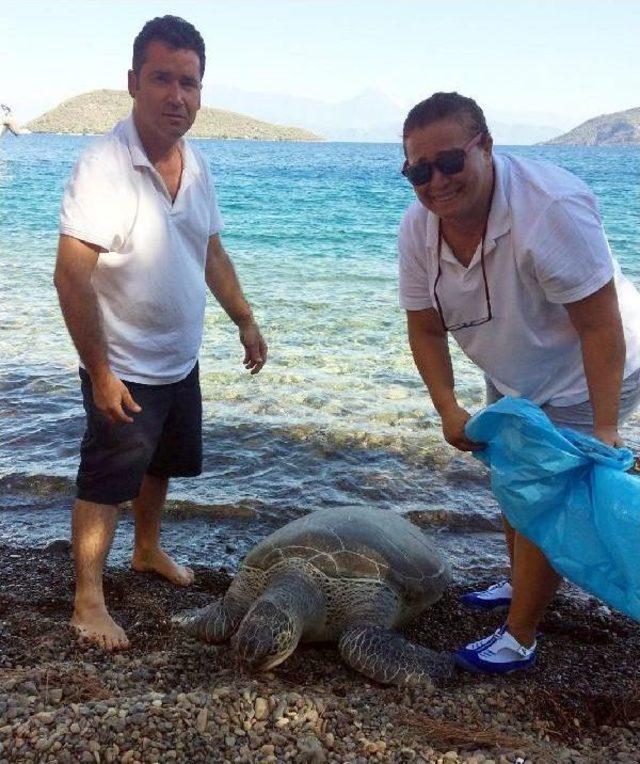 Caretta Caretta'ya Kadın Kaptan Yardımı