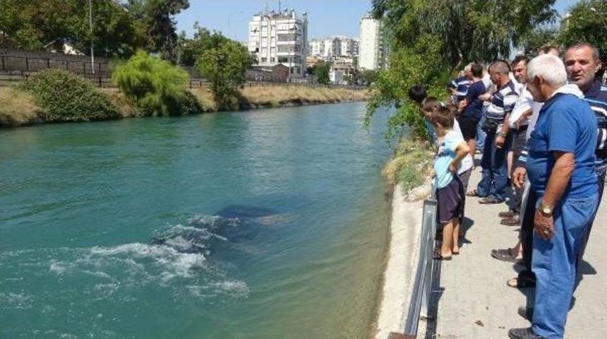 Otomobil Sulama Kanalına U&ccedil;tu