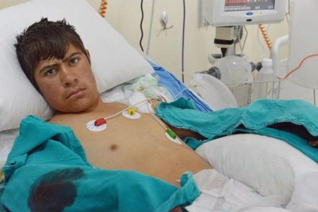 Kuşu Kurtaran &Ccedil;obanın Elleri Kesilecek 1